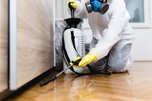Reliable Arlington Heights, WA Pest Control Solutions