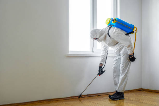  Arlington Heights, WA Pest Control Pros
