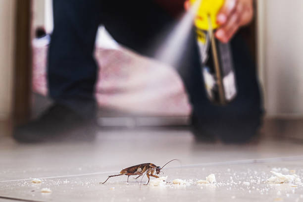 Best Cockroach Control Services  in Arlington Heights, WA
