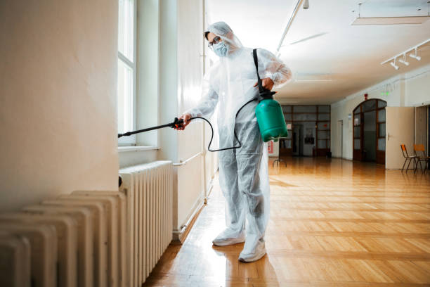 Best Best Pest Control Companies  in Arlington Heights, WA
